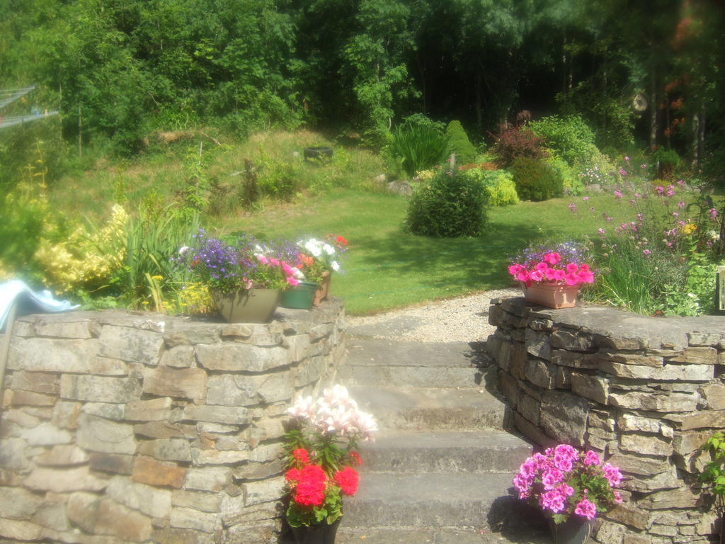 Elderberry B&B Westport Exterior foto